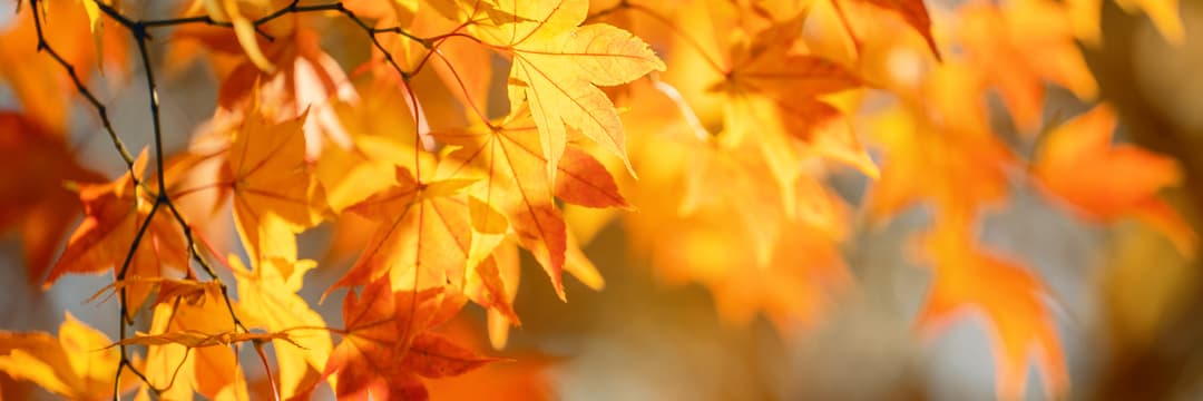 fall getaways